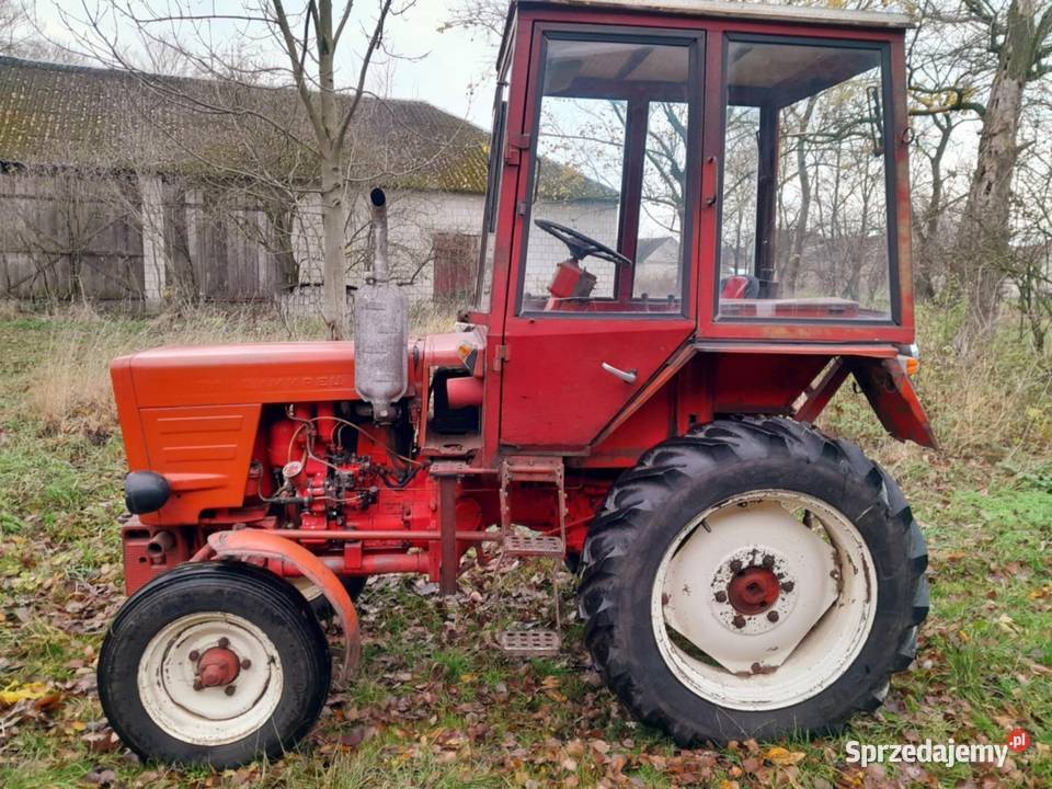 Wladimirec T25 Radzyń Podlaski