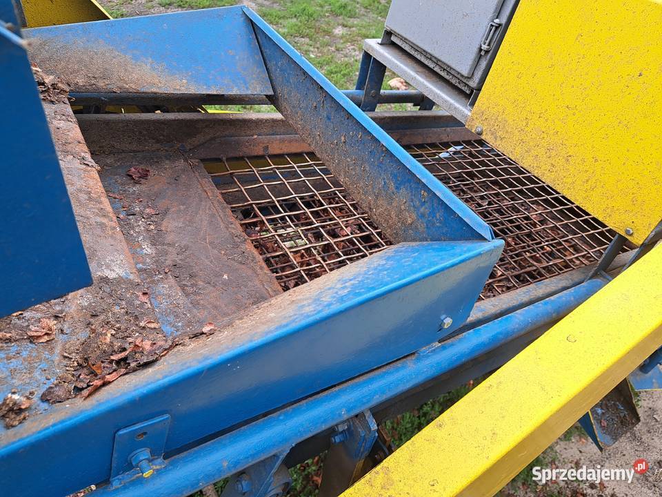 Sortownik do ziemniaków puck wielkopolskie Królików