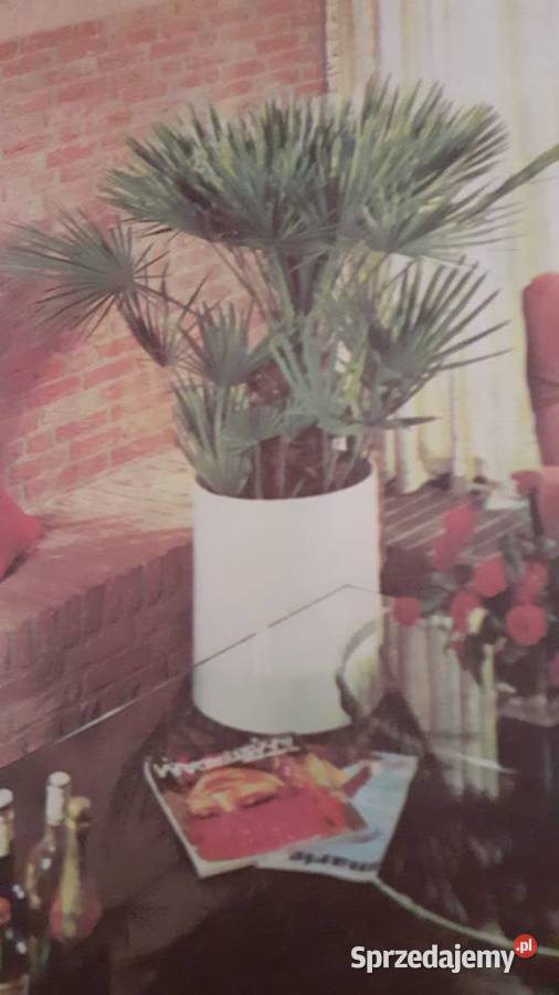 Mieszkamy wśród kwiatów zachodniopomorskie Szczecin sprzedam