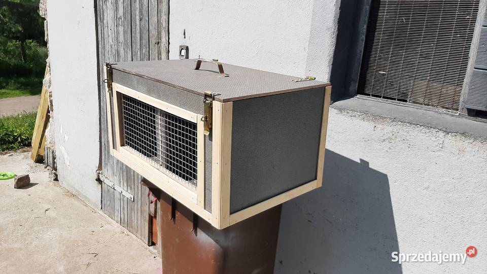 Transporter wielkopolskie Czerniejewo