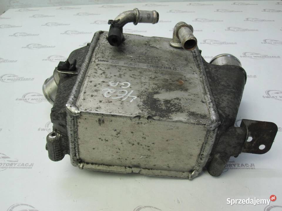 FORD FOCUS 16 TDCI 12r CV618K230BB CHŁODNICA świętokrzyskie