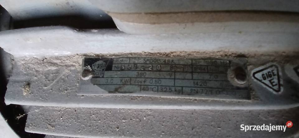 Krajzega piła stołowa