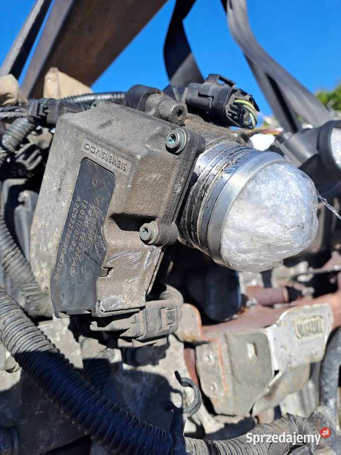 Ford Fokus 2010r 16 TDCi silnik kompletny kod śląskie Jastrzębie-Zdrój sprzedam