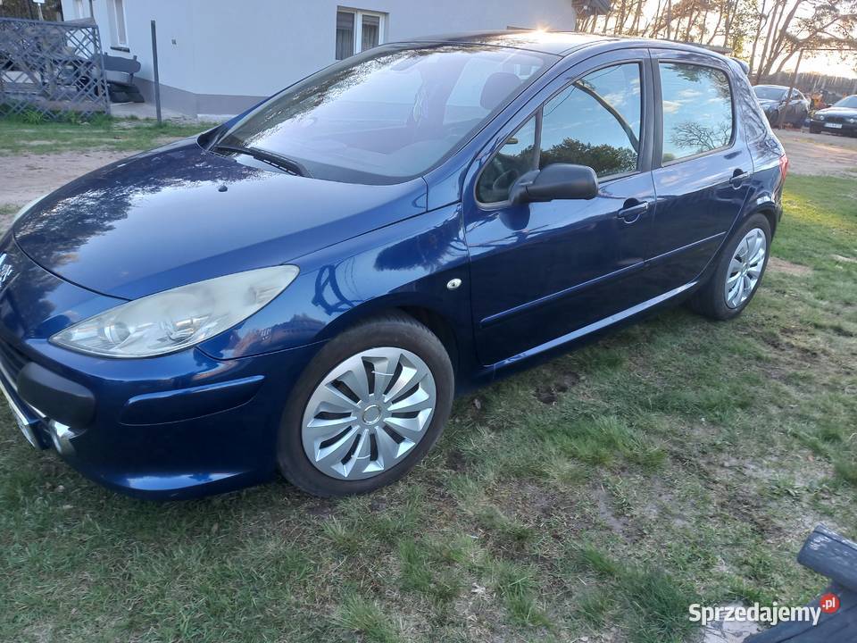 Peugeot 307 łódzkie Sieradz