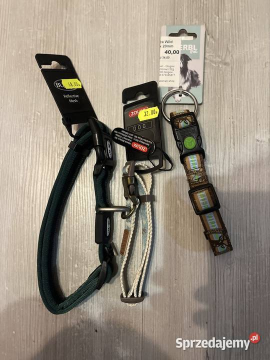 Obroże psów nowe Wschowa