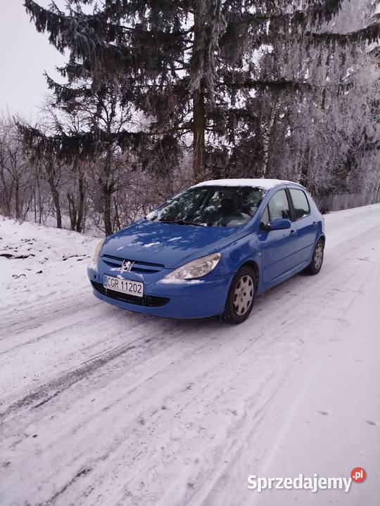 Peugeot 307 14 hdi Radzyń Chełmiński