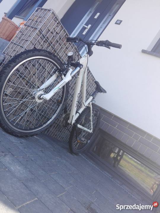 Rower D4X dirtstreet nie frstuntdh Karpiówka