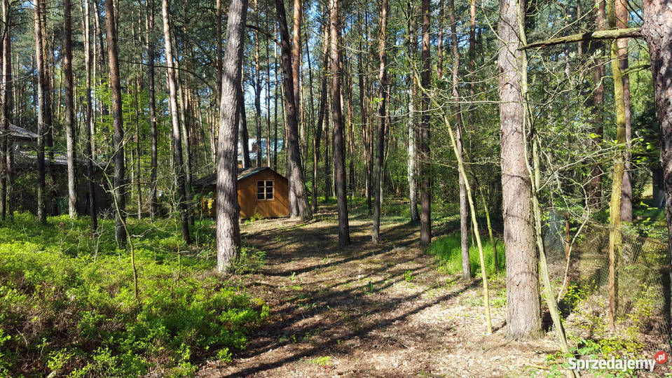 Działka na sprzedaż Wyszków RYBIENKO LEŚNE kanalizacja Grunty i działki Wyszków