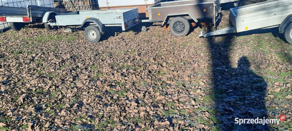 Przyczepka samochodowa Czerwona Woda