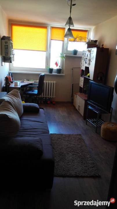 słoneczne mieszkanie w bloku Ruda Śląska Nowy Mieszkania śląskie