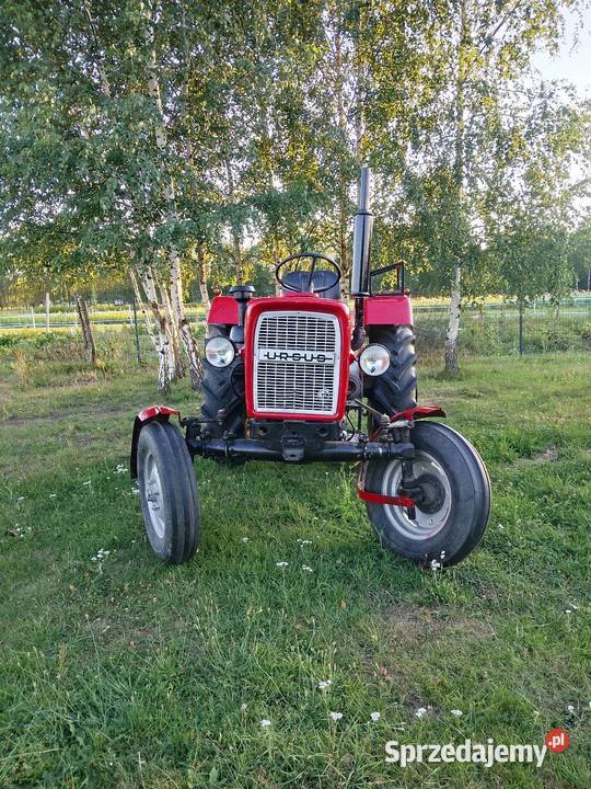C335 Brzóza Stadnicka