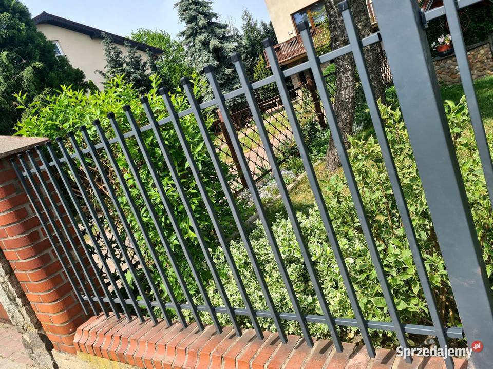 Furtka 110x150 KING ogrodzenie bramy przęsło Kalisz