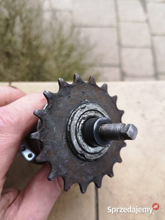 Rower Favorit tylna piasta Gdańsk