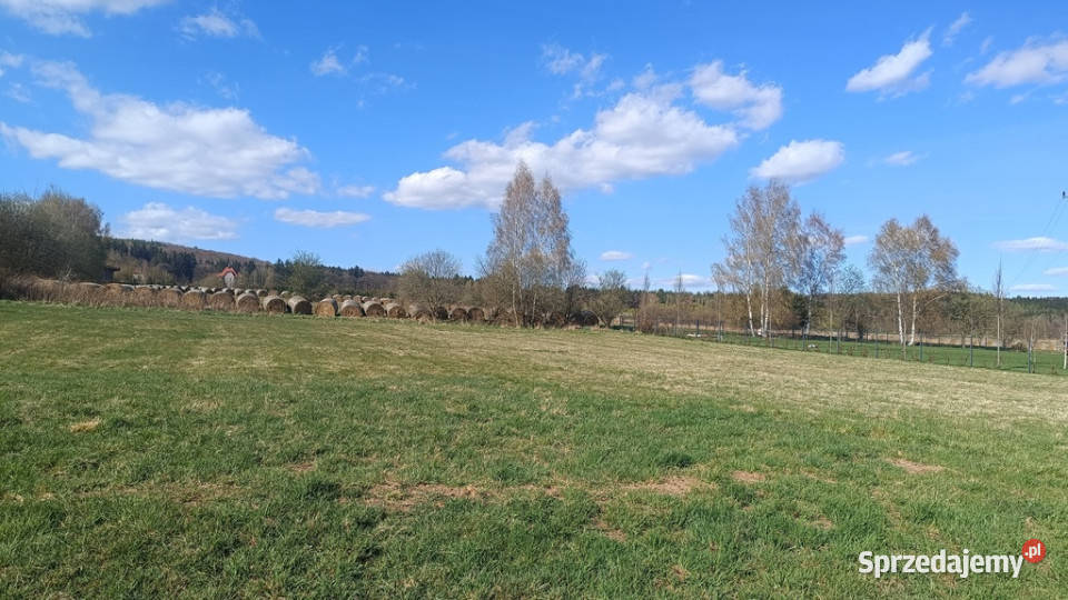 Malownicza działka Czadrów sprzedam