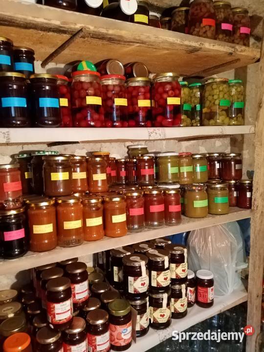 Przetwory domowe Leśnictwo