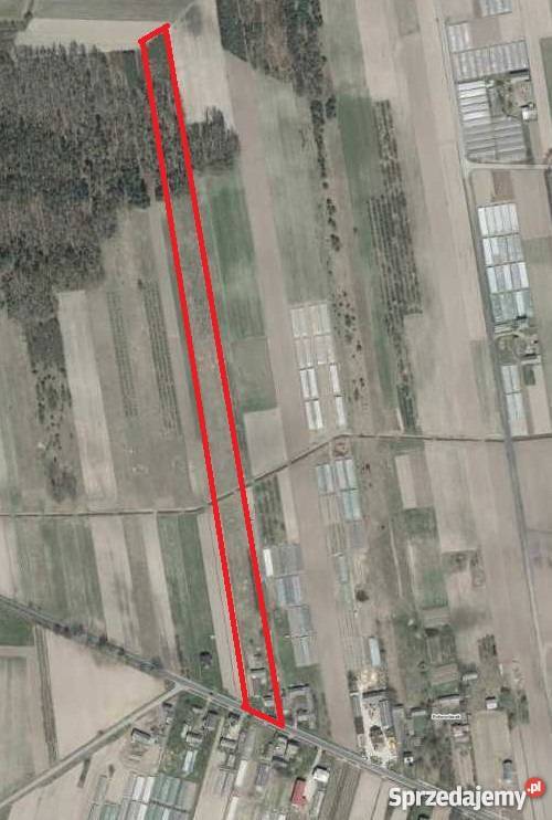 Gospodarstwo rolne dom z działką w Potworowie asfalt Potworów