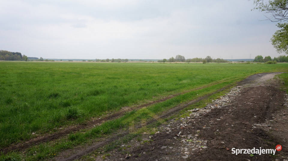 Nieruchomość w Całowaniu Całowanie