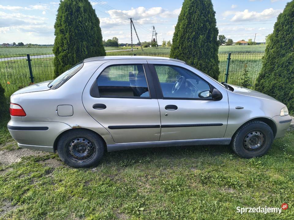 Fiat Albea 80KM Dębiny