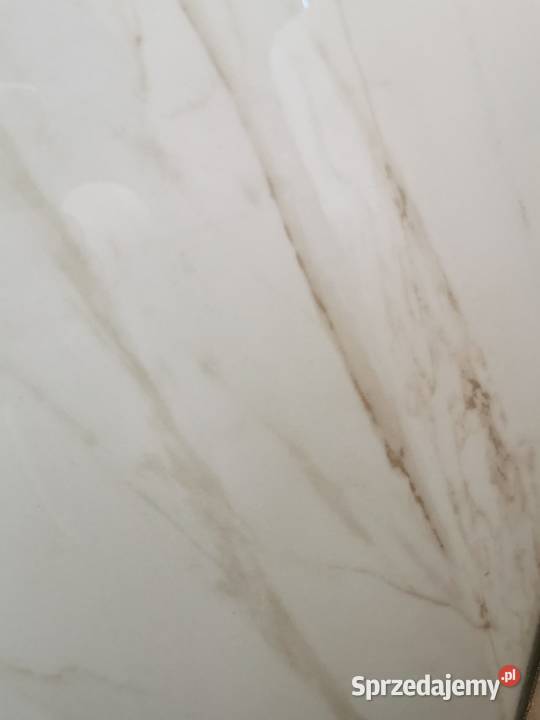 Płytki Versace Marble Bianco Calacatta 585x1175 Poskwitów