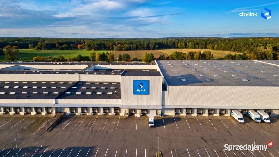 Magazyn miejski 1 000 m 1 mc Bezpośrednio Poznań
