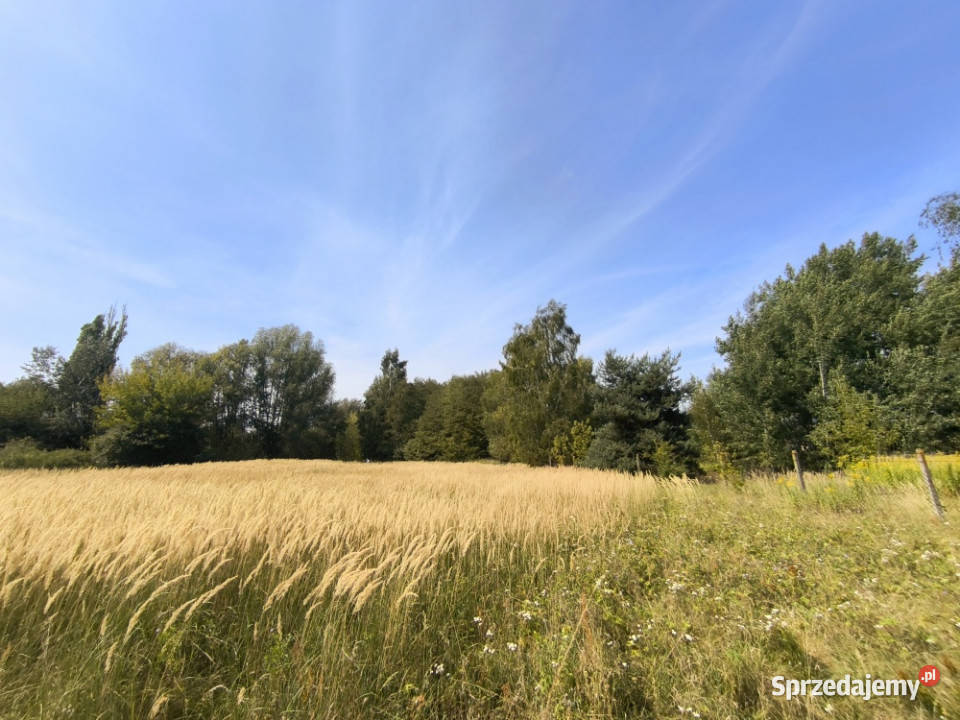 DZIAŁKA USŁUGOWA 2000 m KOBYLIN gmina GRÓJEC utwardzona Nieruchomości