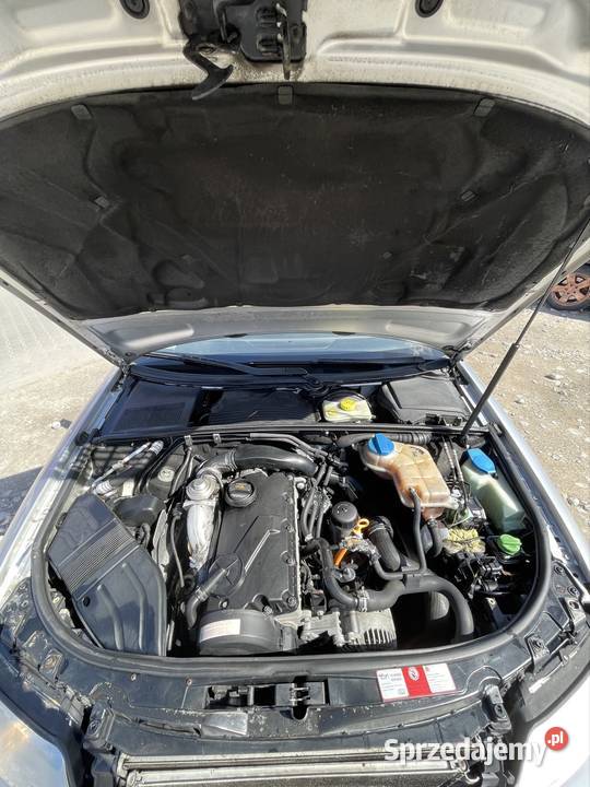 Audi A4 B6 19TDI 130 6 biegów przyciemniane szyby