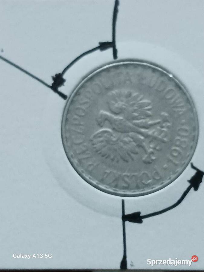 1 Złoty 1980 r Skrętka Piękna Numizmatyka