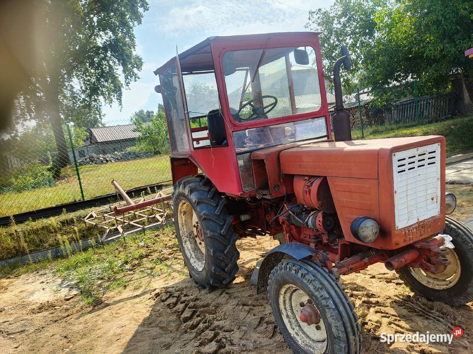 Wladimirec t25 Starokrzepice sprzedam