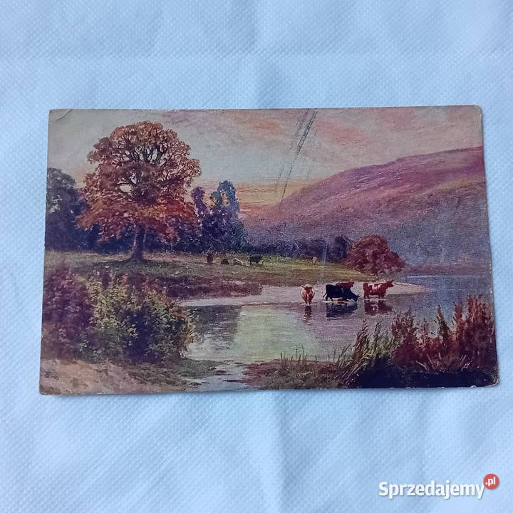 Pocztówka krowy wodopoju Polska lata 20e XX w Koźminek