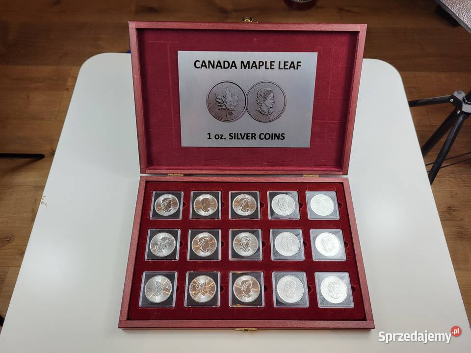 Kolekcja monet srebrynych Maple Leaf 1 oz 15 Lublin