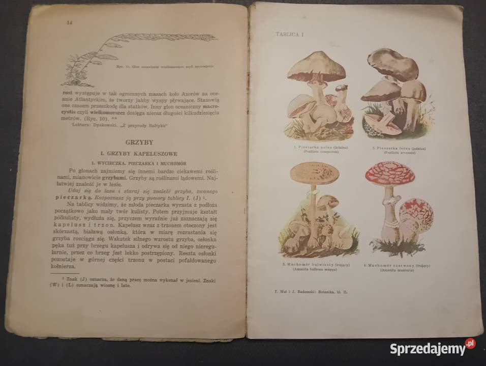 TMul i j Radomski Botanika Podr do biologii kl3