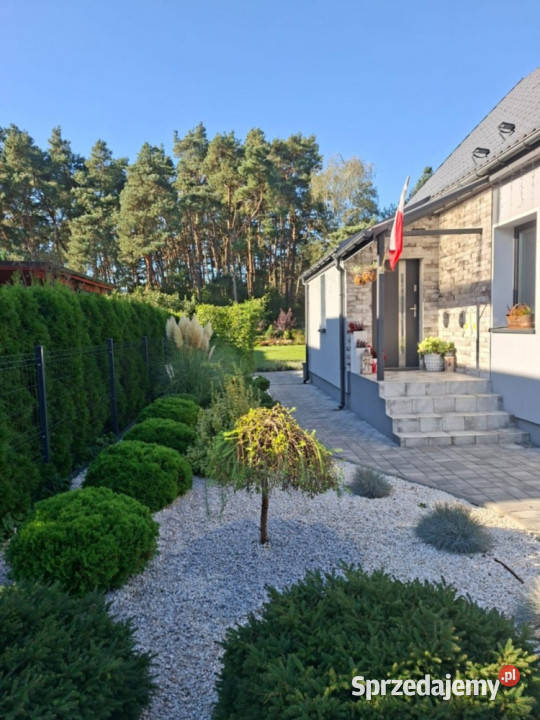 kameralny dom z bajkowym ogrodem Szczecin