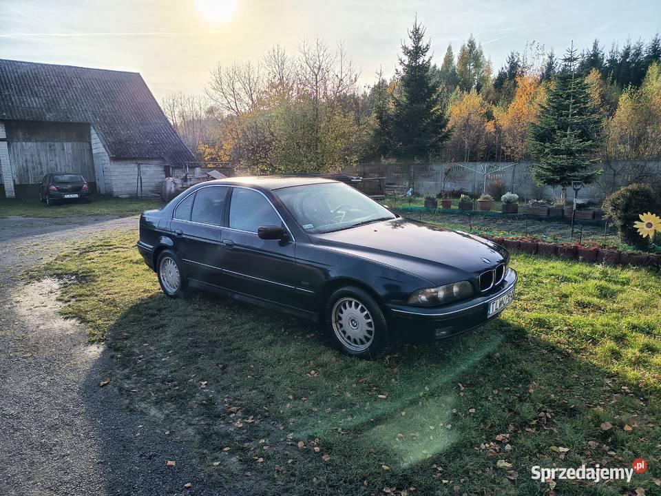 BMW e39 Psary-Kolonia