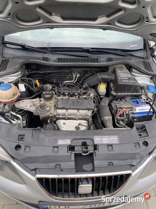 Seat Ibiza 4 Dębica