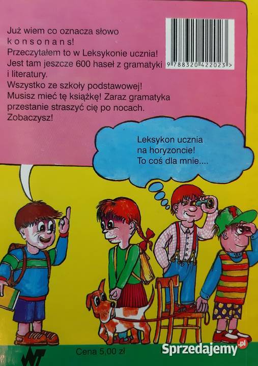 Ewa Romkowska Leksykon ucznia język polski Podręczniki mazowieckie sprzedam