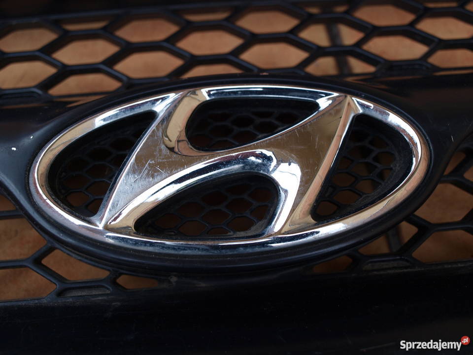 Hyundai Santa Fe Grill Atrapa przednia 2006 Kalisz