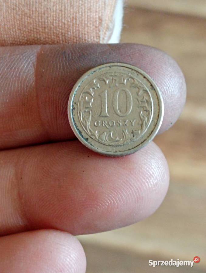 Sprzedam 10 groszy 2009 r Destrukt Chełm