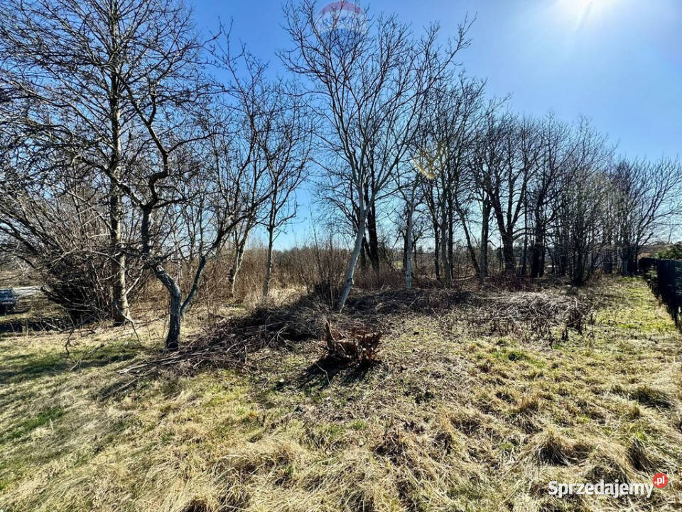 Działka budowlanousługowa Radlin Biertułtowy sprzedam