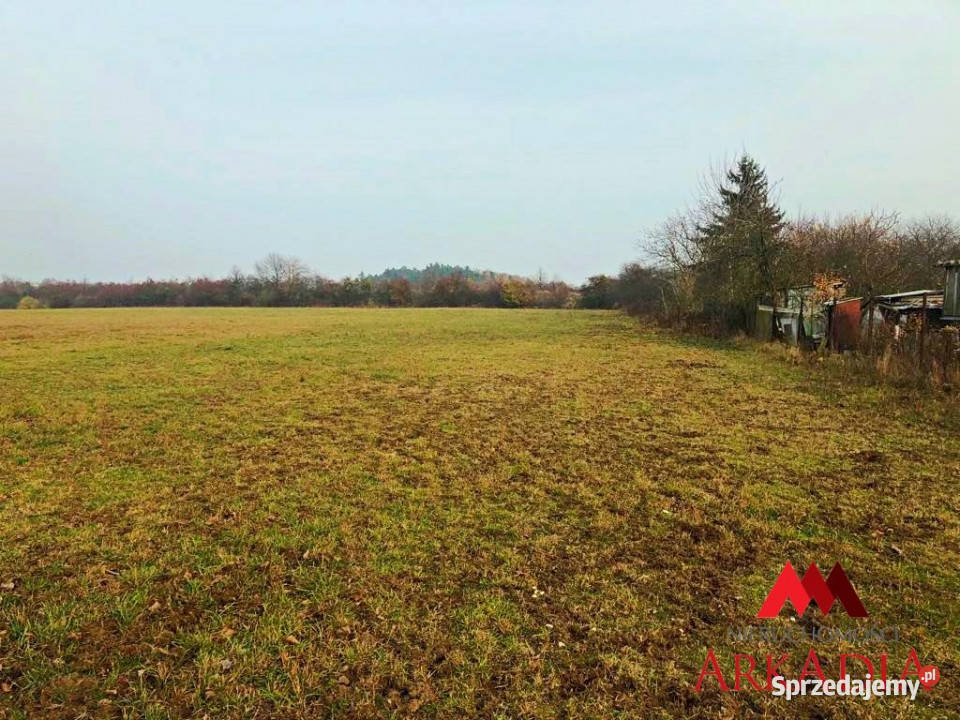 Działka Aleksandrów Kujawski 13174m 13174m2 Sprzedaż kujawsko-pomorskie sprzedam