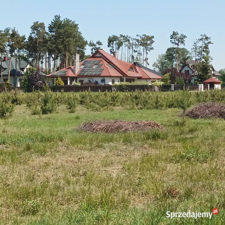 sprzedam działkę budowlaną w Międzyborowie mazowieckie Międzyborów