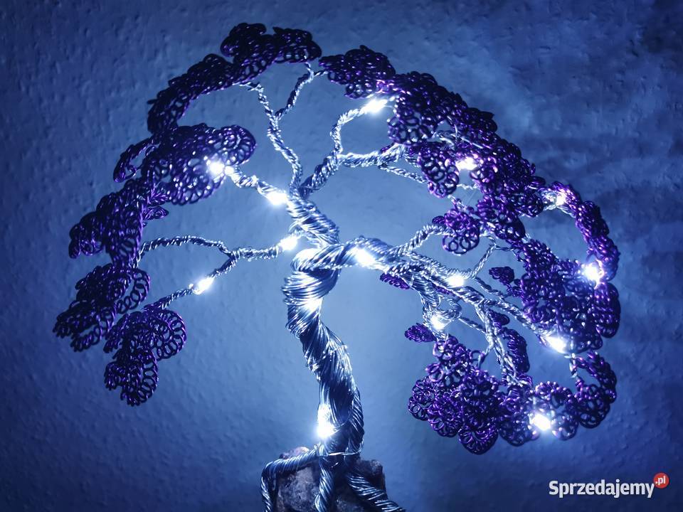 Fioletowe bonsai Doskonały prezent na święta 35 Bolesławiec