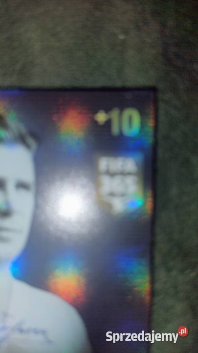 Autograf Ferenc pusks 20152016 Pozostałe Międzychód