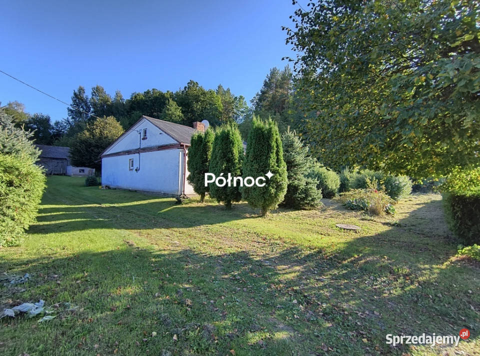 Siedlisko lesie w Skomorochach Dużych Sprzedaż Skomorochy Duże