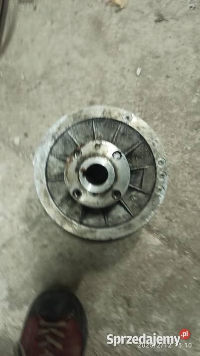 element dwutalerzykowy do przekładni do posuwu lubuskie Kłodawa