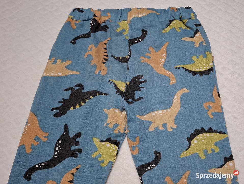 Spodnie dresowe chłopięce dinozaury Sinsay 134 śląskie Czeladź