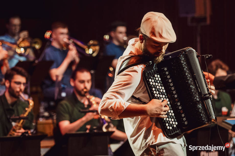 Profesjonalny akordeonista solozespół koncerty i Muzycy i artyści