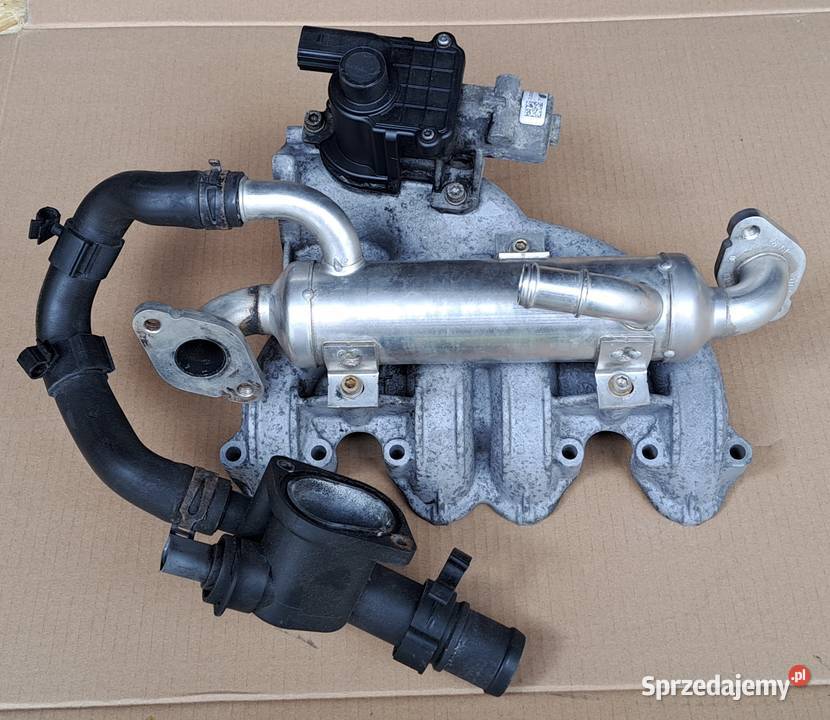 KOLEKTOR ZAWÓR EGR VW TRANSPORTER T5 19 TDI dolnośląskie Mielęcin