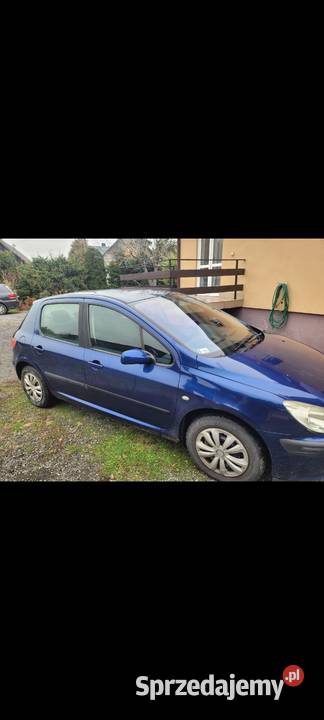peugeot 307 świętokrzyskie Bodzechów