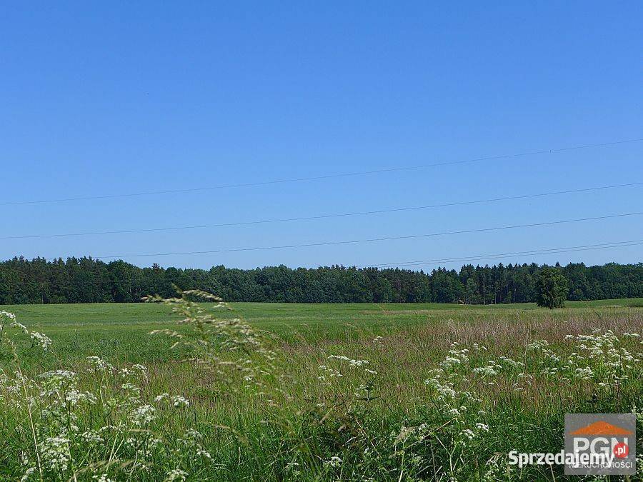 Ogłoszenie działka Gryfice 1430m2