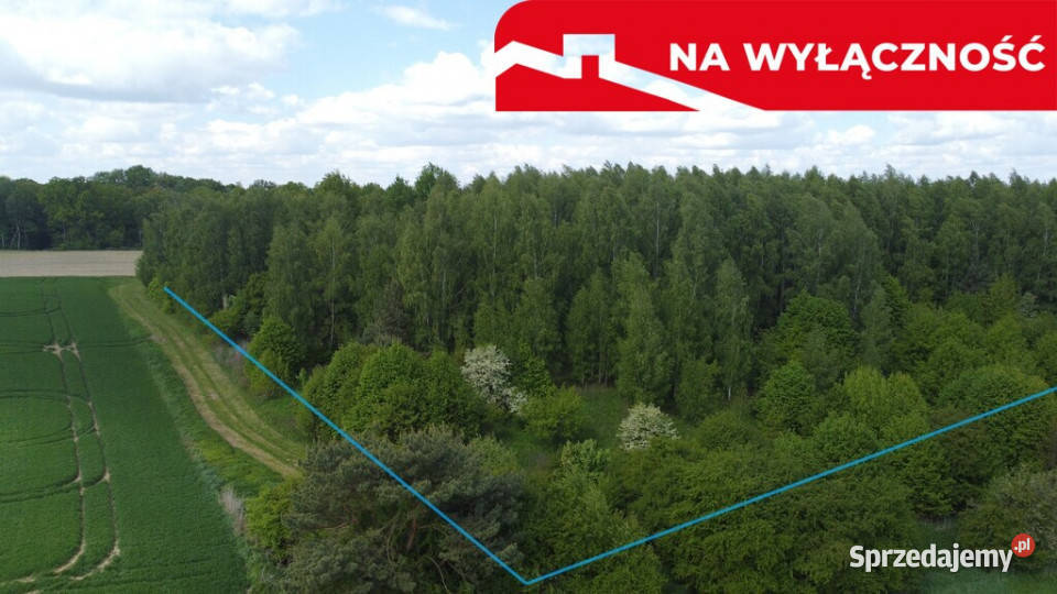 Działka 215 ha z potencjałem koło Nałęczowa lubelskie Chruszczów-Kolonia sprzedam